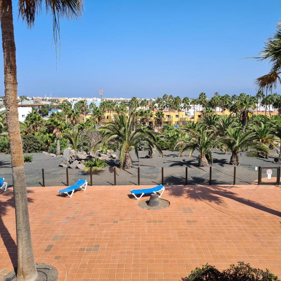 Oasis Royal D311 Διαμέρισμα Κοραλέχο Εξωτερικό φωτογραφία